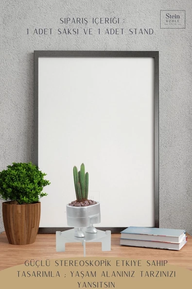 Stein Kohle Ayaklı Saksı Ahşap Dekoratif Kaktüs Saksısı 1 Adet Gümüş Renk Uygulamalı Pantolon Model - 4