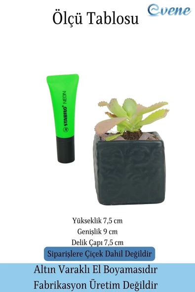 Evene Saksı Dekoratif Saksı Kaktüs Saksısı Sukulent Saksısı Küçük Saksı Model 45 Siyah Saksı - Resim 2