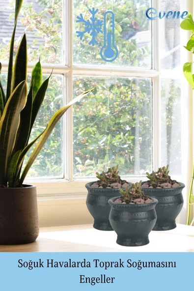 Evene Saksı Dekoratif Saksı Kaktüs Saksısı Sukulent Saksısı Küçük Saksı Model 43 Siyah Saksı - Resim 5