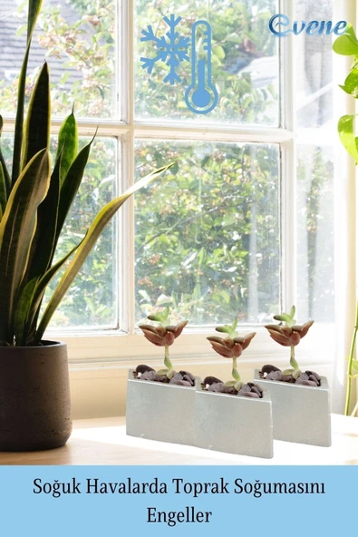 Evene Mini Çiçek Saksı Küçük Sukulent Gümüş Kaktüs Saksısı Dörtgen Yatay Model - Resim 5