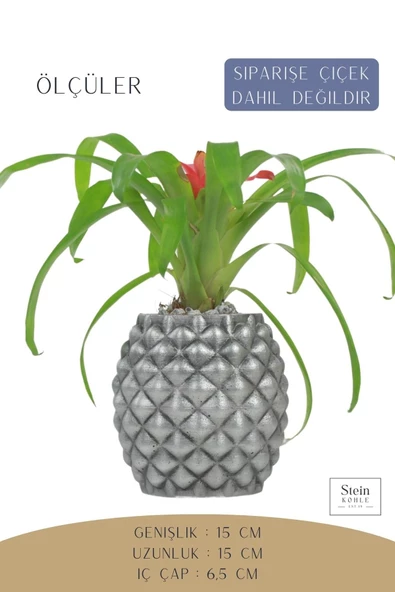 Stein Kohle Çiçek Saksısı Büyük Boy 1 Adet Gümüş Renk Eskitme Uygulamalı Ananas Model - 2