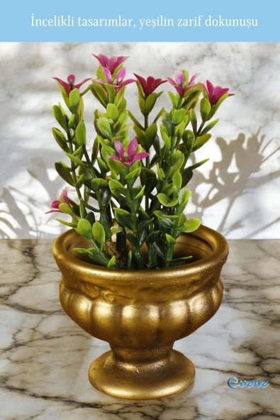 Evene Saksı Dekoratif Saksı Kaktüs Saksısı Sukulent Saksısı Küçük Saksı Model 34 Altın Eskitme Saksı - Resim 5