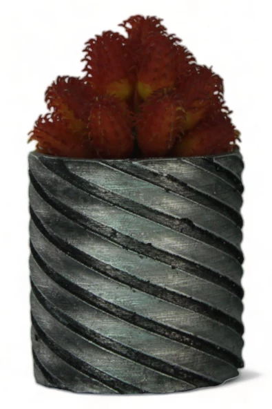 Evene Saksı Dekoratif Saksı Kaktüs Saksısı Sukulent Saksısı Küçük Saksı Model 37 Siyah Gümüş Saksı ürün görseli 1