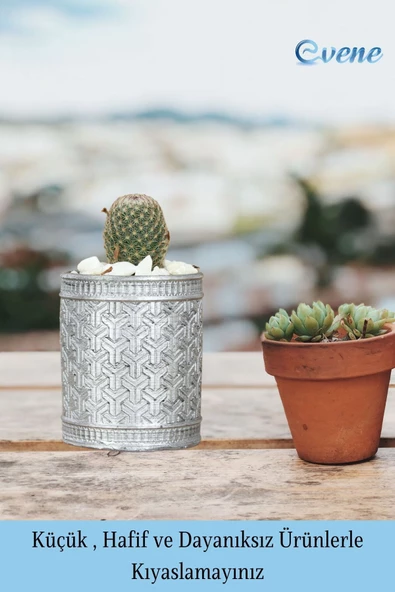 Evene Saksı Dekoratif Saksı Kaktüs Saksısı Sukulent Saksısı Küçük Saksı Model 42 Siyah Gümüş Saksı - Resim 3