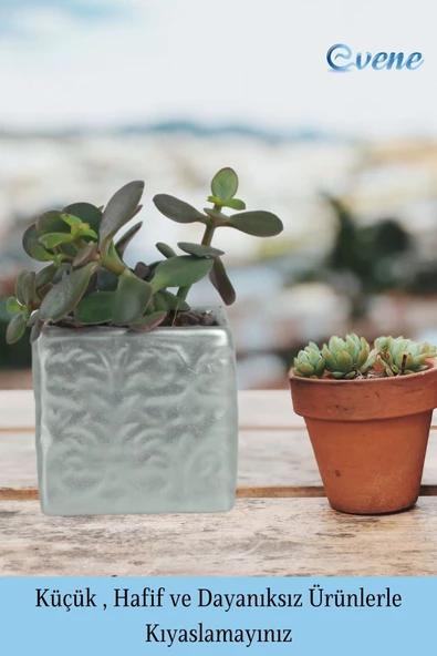 Evene Saksı Dekoratif Saksı Kaktüs Saksısı Sukulent Saksısı Küçük Saksı Model 45 Gümüş Saksı - Resim 3