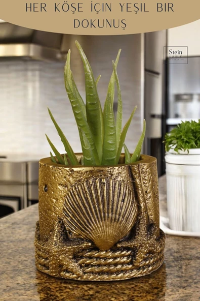 Stein Kohle Dekoratif Saksı Minik Kaktüs Saksısı Altın Eskitme Renk 1 Adet Deniz Ürünlü Model - Resim 4