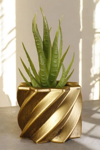 Stein Kohle Dekoratif Saksı Minik Kaktüs Saksısı Altın Eskitme Renk 1 Adet Kalın Çizgi Yıldız Model ürün görseli 1