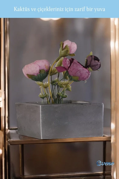Evene Mini Çiçek Saksı Küçük Sukulent Gümüş Eskitme Kaktüs Saksısı Dörtgen Yatay Model - Resim 4