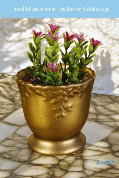 Evene Saksı Dekoratif Saksı Kaktüs Saksısı Sukulent Saksısı Küçük Saksı Model 32 Gold Saksı - Resim 5