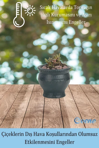 Evene Saksı Dekoratif Saksı Kaktüs Saksısı Sukulent Saksısı Küçük Saksı Model 43 Siyah Saksı - Resim 4