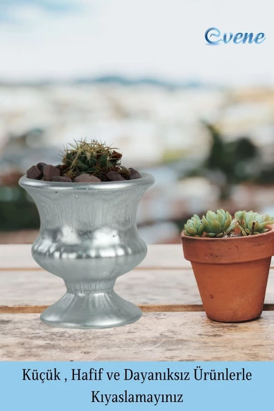 Evene Saksı Dekoratif Saksı Kaktüs Saksısı Sukulent Saksısı Küçük Saksı Model 33 Gümüş Saksı - Resim 3
