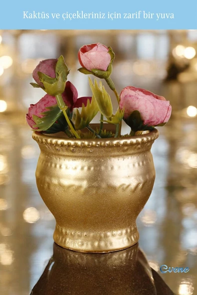 Evene Saksı Dekoratif Saksı Kaktüs Saksısı Sukulent Saksısı Küçük Saksı Model 43 Altın Saksı - Resim 4