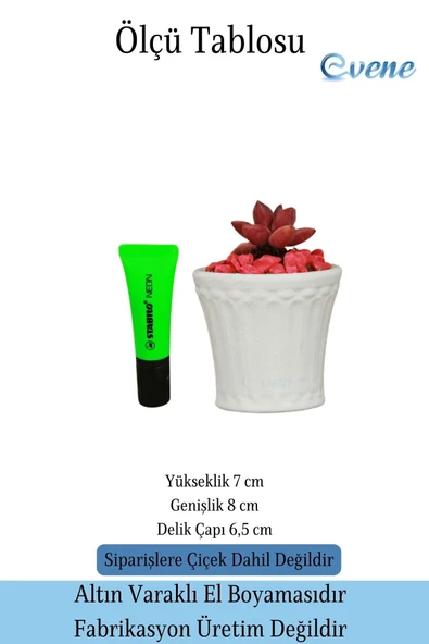 Evene Saksı Dekoratif Saksı Kaktüs Saksısı Sukulent Saksısı Küçük Saksı Model 40 Beyaz Saksı - Resim 2