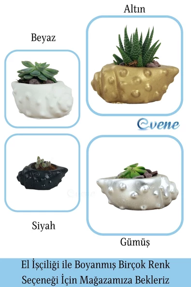 Evene Saksı Dekoratif Saksı Kaktüs Saksısı Sukulent Saksısı Küçük Saksı Model 18 Siyah Saksı - Resim 7