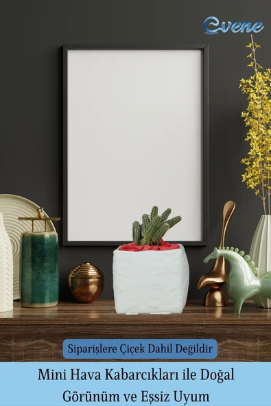 Evene Saksı Dekoratif Saksı Kaktüs Saksısı Sukulent Saksısı Küçük Saksı Model 45 Beyaz Saksı - Resim 6