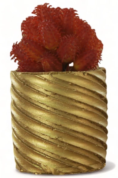 Evene Saksı Dekoratif Saksı Kaktüs Saksısı Sukulent Saksısı Küçük Saksı Model 37 Gold Saksı ürün görseli 1