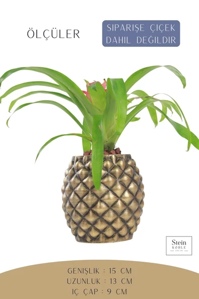Stein Kohle Çiçek Saksısı Büyük Boy 1 Adet Altın Renk Eskitme Uygulamalı Ananas Model - Resim 2