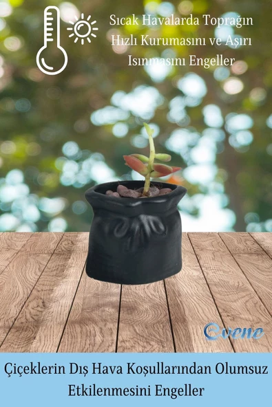 Evene Saksı Dekoratif Saksı Kaktüs Saksısı Sukulent Saksısı Küçük Saksı Model 14 Siyah Saksı - Resim 4