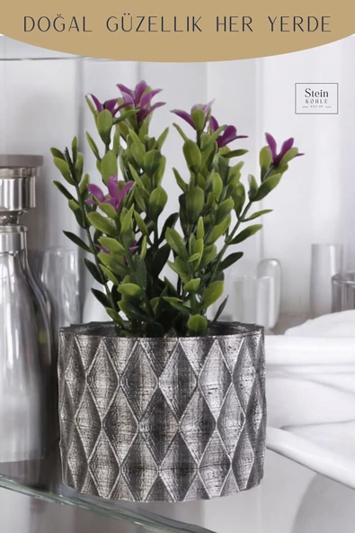 Stein Kohle Dekoratif Saksı Minik Kaktüs Saksısı Gümüş Eskitme Renk 1 Adet Baklava Model - Resim 5