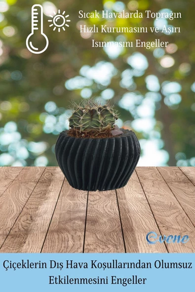 Evene Saksı Dekoratif Saksı Kaktüs Saksısı Sukulent Saksısı Küçük Saksı Model 13 Siyah Saksı - Resim 4