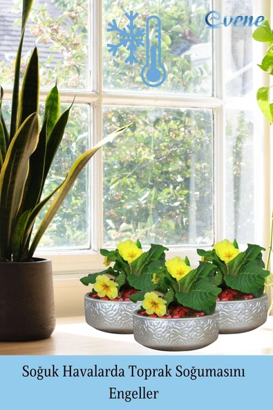 Evene Saksı Büyük Saksı Çiçek Saksısı Büyük Boy Saksı Salon Saksısı Model 2 Gümüş Saksı - Resim 5