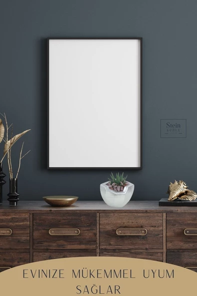 Stein Kohle Çiçek Saksısı Dekoratif Kaktüs Saksı 1 Adet Gümüş Renk Uygulamalı Önü Açık Model - Resim 6