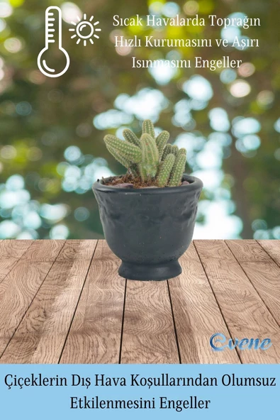 Evene Saksı Dekoratif Saksı Kaktüs Saksısı Sukulent Saksısı Küçük Saksı Model 31 Siyah Saksı - Resim 4