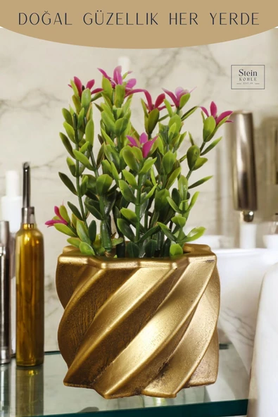 Stein Kohle Dekoratif Saksı Minik Kaktüs Saksısı Altın Eskitme Renk 1 Adet Kalın Çizgi Yıldız Model - Resim 5