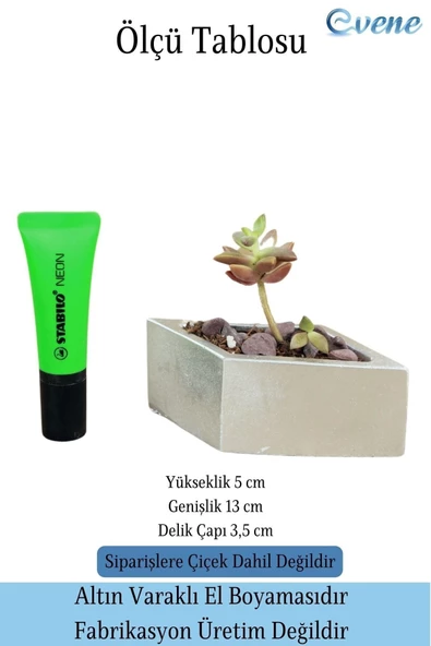 Evene Mini Çiçek Saksı Küçük Sukulent Gümüş Kaktüs Saksısı Dörtgen Yatay Model - Resim 2
