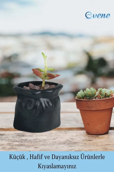 Evene Saksı Dekoratif Saksı Kaktüs Saksısı Sukulent Saksısı Küçük Saksı Model 14 Siyah Saksı - Resim 3