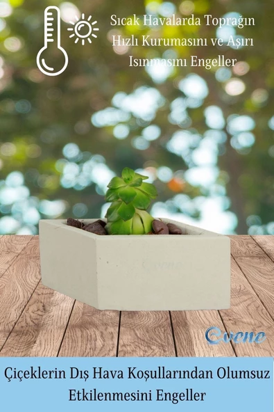 Evene Mini Çiçek Saksı Küçük Sukulent Beyaz Kaktüs Saksısı Dörtgen Yatay Model - Resim 4