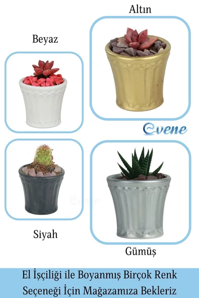 Evene Saksı Dekoratif Saksı Kaktüs Saksısı Sukulent Saksısı Küçük Saksı Model 40 Beyaz Saksı - Resim 7