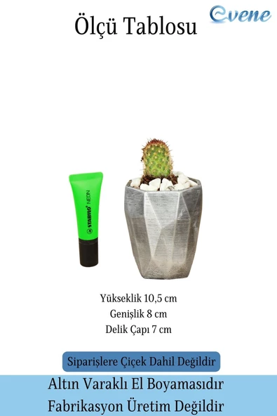 Evene Saksı Dekoratif Saksı Kaktüs Saksısı Sukulent Saksısı Küçük Saksı Model 36 Siyah Gümüş Saksı - Resim 2