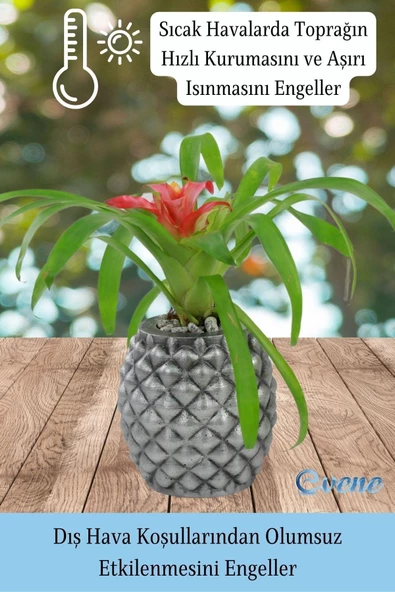 Evene Ahşap Ayaklı Beton Saksı Büyük Boy 1 Adet Gümüş Varak Boyalı Eskitmeli Ananas Model - Resim 6