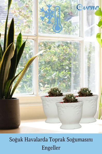 Evene Saksı Dekoratif Saksı Kaktüs Saksısı Sukulent Saksısı Küçük Saksı Model 32 Beyaz Saksı - Resim 5