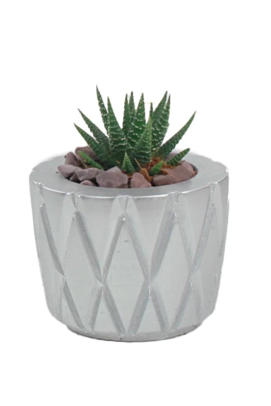 Stein Kohle Çiçek Saksısı Dekoratif Kaktüs Saksı 1 Adet Gümüş Renk Uygulamalı Baklava Model ürün görseli 1