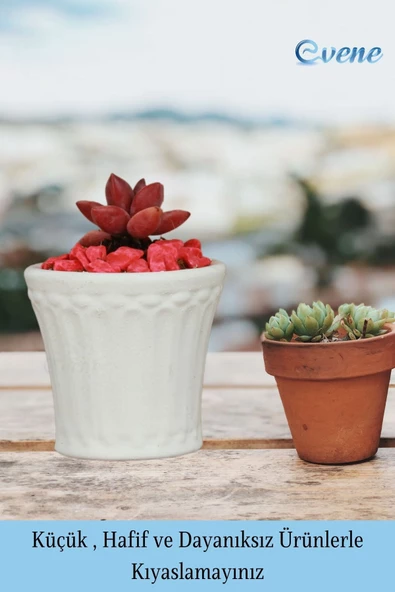 Evene Saksı Dekoratif Saksı Kaktüs Saksısı Sukulent Saksısı Küçük Saksı Model 40 Beyaz Saksı - Resim 3