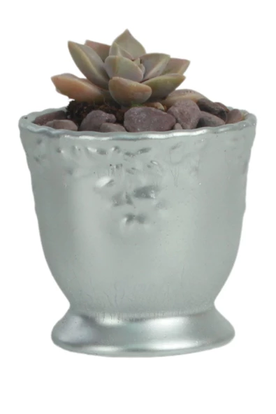 Evene Saksı Dekoratif Saksı Kaktüs Saksısı Sukulent Saksısı Küçük Saksı Model 32 Gümüş Saksı ürün görseli 1