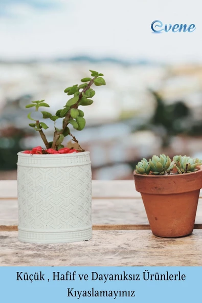 Evene Saksı Dekoratif Saksı Kaktüs Saksısı Sukulent Saksısı Küçük Saksı Model 42 Beyaz Saksı - Resim 3