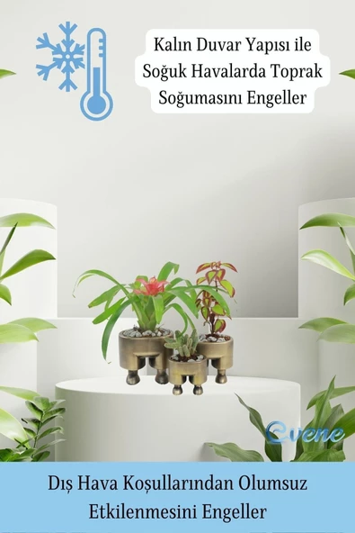 Evene Saksı Çiçek Kaktüs Saksısı Lüx 13 Cm Altın Eskitme Varak Boyalı Pantolon Desen Saksı Çiçeklik - 7