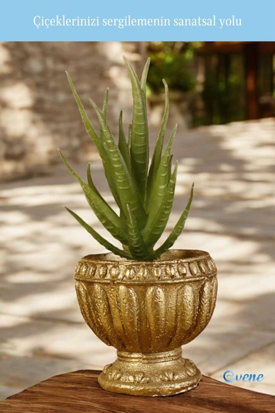 Evene Mini Çiçek Saksı Küçük Sukulent Altın Kaktüs Saksısı Antika Vazo Model - Resim 3