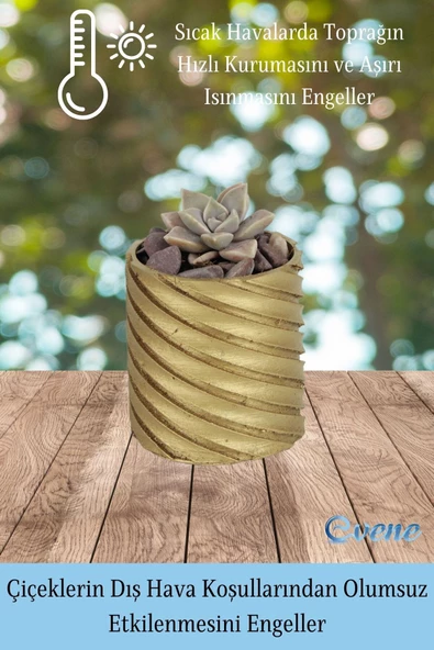 Evene Saksı Dekoratif Saksı Kaktüs Saksısı Sukulent Saksısı Küçük Saksı Model 37 Gold Saksı - Resim 4