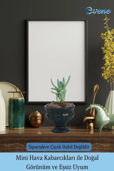Evene Saksı Dekoratif Saksı Kaktüs Saksısı Sukulent Saksısı Küçük Saksı Model 34 Siyah Saksı - 6