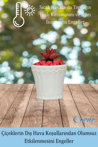 Evene Saksı Dekoratif Saksı Kaktüs Saksısı Sukulent Saksısı Küçük Saksı Model 40 Beyaz Saksı - Resim 4