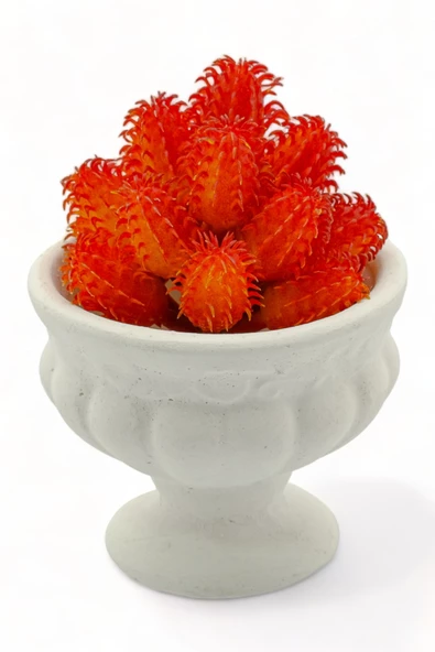 Evene Saksı Dekoratif Saksı Kaktüs Saksısı Sukulent Saksısı Küçük Saksı Model 34 Beyaz Saksı ürün görseli 1