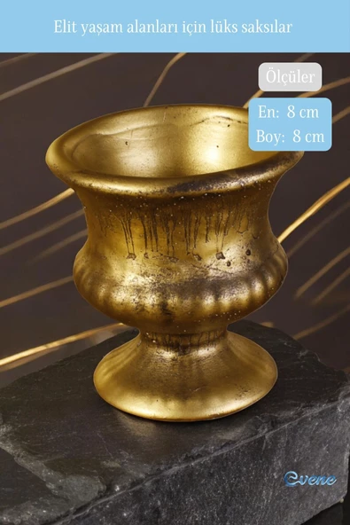 Evene Saksı Dekoratif Saksı Kaktüs Saksısı Sukulent Saksısı Küçük Saksı Model 33 Gold Saksı - Resim 2