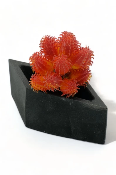 Evene Saksı Dekoratif Saksı Kaktüs Saksısı Sukulent Saksısı Küçük Saksı Model 19 Siyah Saksı ürün görseli 1