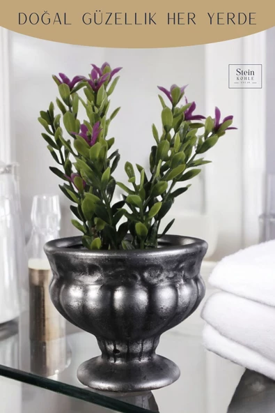 Stein Kohle Dekoratif Saksı Minik Kaktüs Saksısı Gümüş Eskitme Renk Model 34 - Resim 5