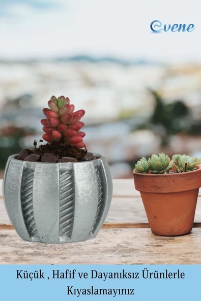 Evene Saksı Dekoratif Saksı Kaktüs Saksısı Sukulent Saksısı Küçük Saksı Model 41 Gümüş Saksı - Resim 3