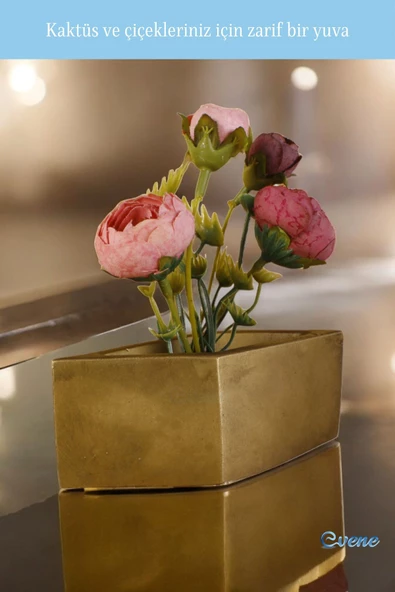 Evene Mini Çiçek Saksı Küçük Sukulent Altın Eskitme Kaktüs Saksısı Dörtgen Yatay Model - Resim 4